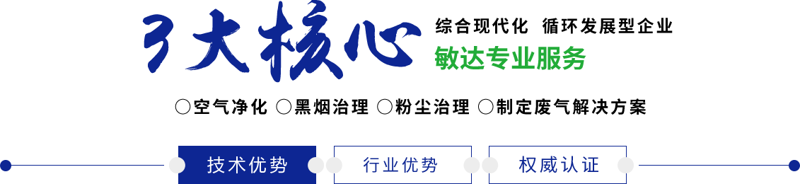 大鸡吧快操我吧、逼逼受不了了视频敏达环保科技（嘉兴）有限公司